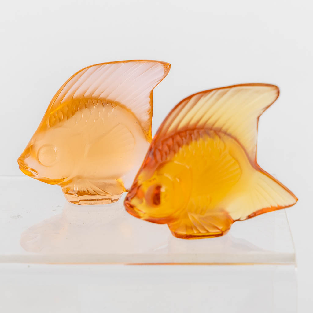 Lalique France, a large collection of 36 crystal fish. (L:4 x W:7 x H:4,5 cm)