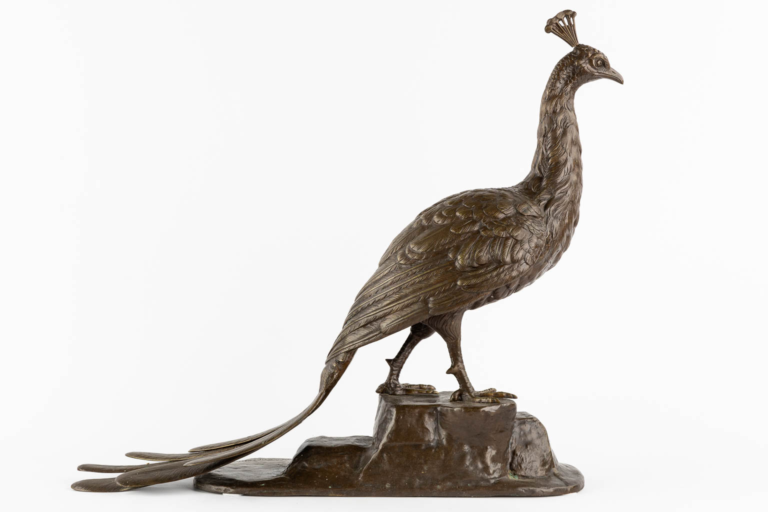 L. MAUPERTUIS (XX) A decorative figurine of a Peacock, patinated bronze. (L:17 x W:57 x H:50 cm)