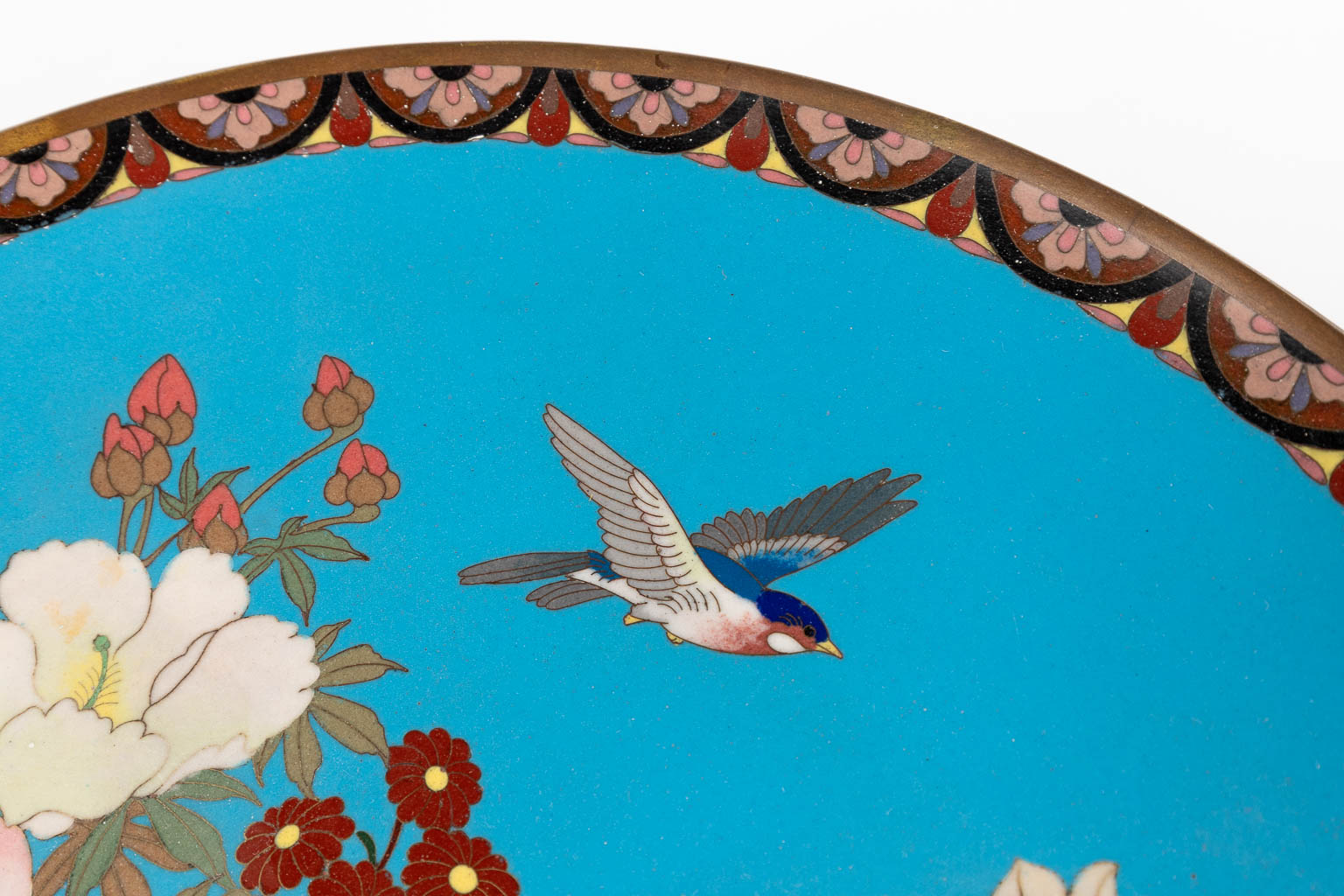 A large display plate, cloisonné enamel and decorated with birds and flowers. 20th C. (D: 30 cm)