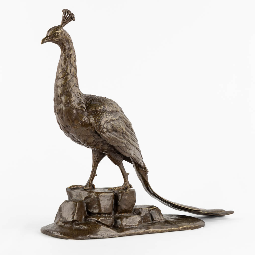 L. MAUPERTUIS (XX) A decorative figurine of a Peacock, patinated bronze. (L:17 x W:57 x H:50 cm)