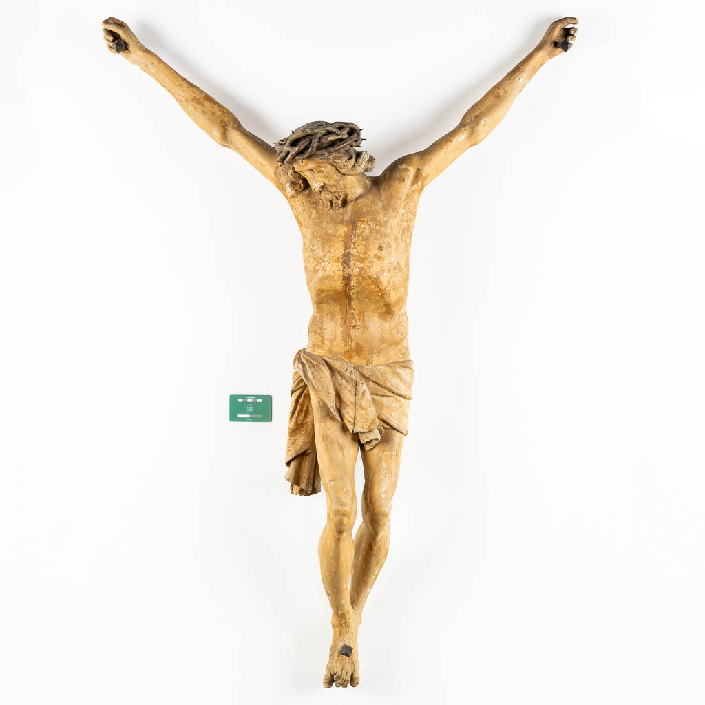 A very large, wood sculptured Corpus Christi, circa 1800. (W:96 x H:138 cm)