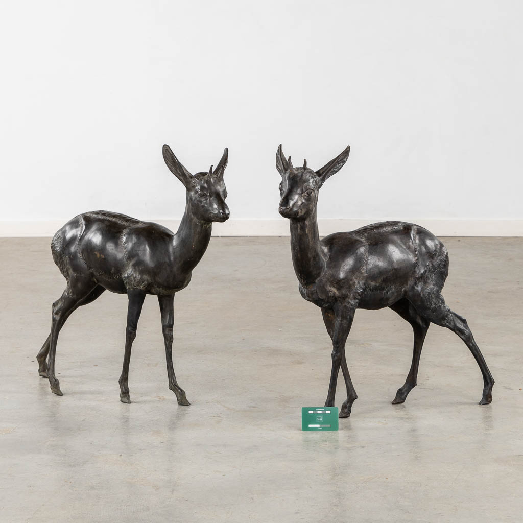 A very decorative pair of deer, patinated bronze. Circa 1970. (L:16 x W:70 x H:66 cm)