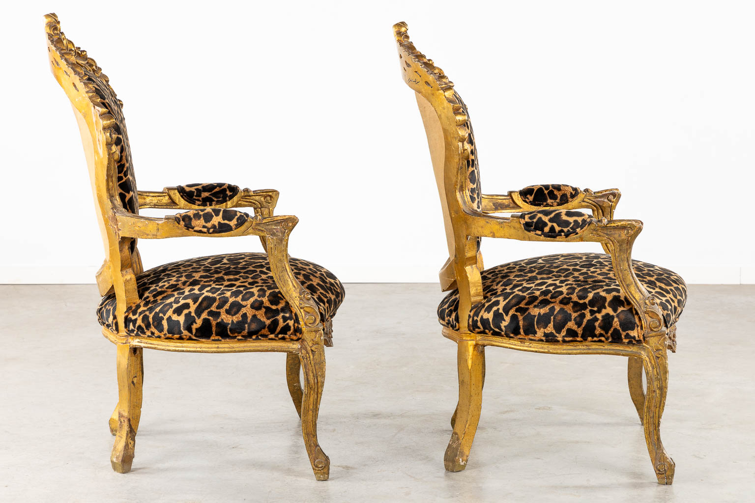 Two decorative armchairs, Louis XV style with a tiger print. (L:64 x W:67 x H:114 cm)