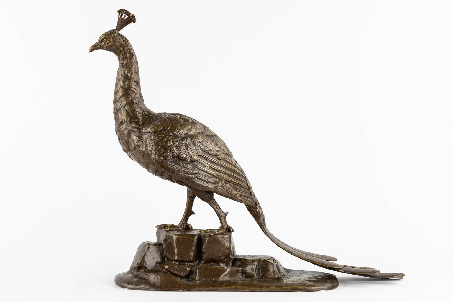 L. MAUPERTUIS (XX) A decorative figurine of a Peacock, patinated bronze. (L:17 x W:57 x H:50 cm)