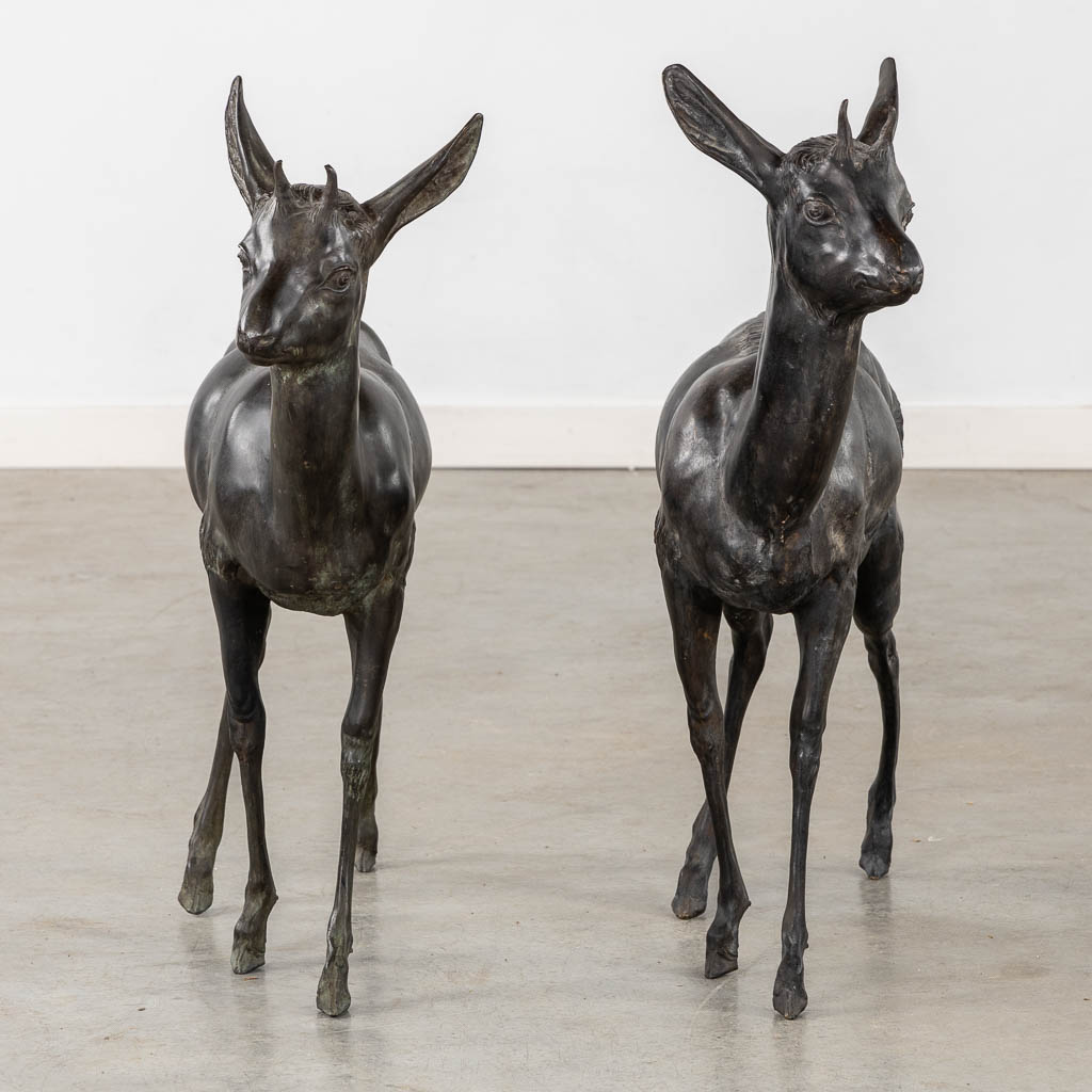 A very decorative pair of deer, patinated bronze. Circa 1970. (L:16 x W:70 x H:66 cm)