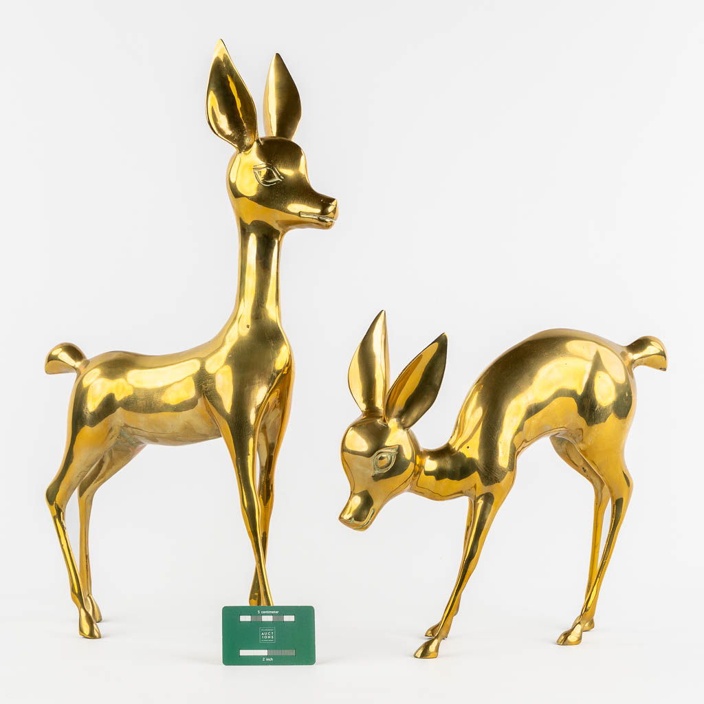 A pair of brass deer, Hollywood Regency style. (W:56 x H:33 cm)