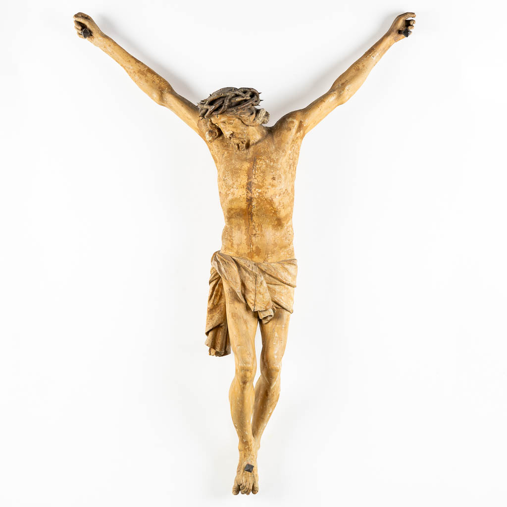 A very large, wood sculptured Corpus Christi, circa 1800. (W:96 x H:138 cm)