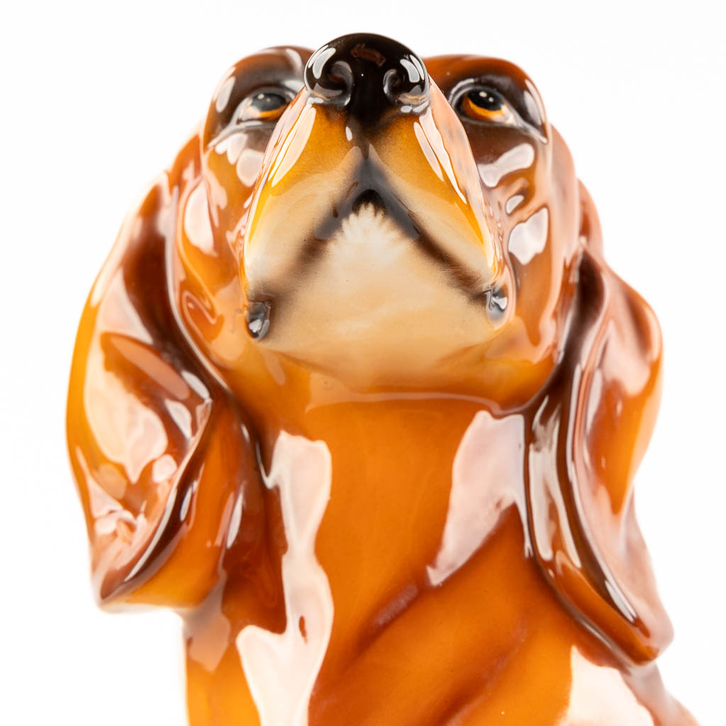 Een figuur van een Dachshund of Tackel hond, Italië. (L:20 x W:55 x H:35 cm)