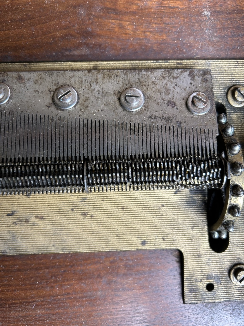 Polyphon, a music box in a wood chest. 10 records. (L:47 x W:54 x H:23 cm)