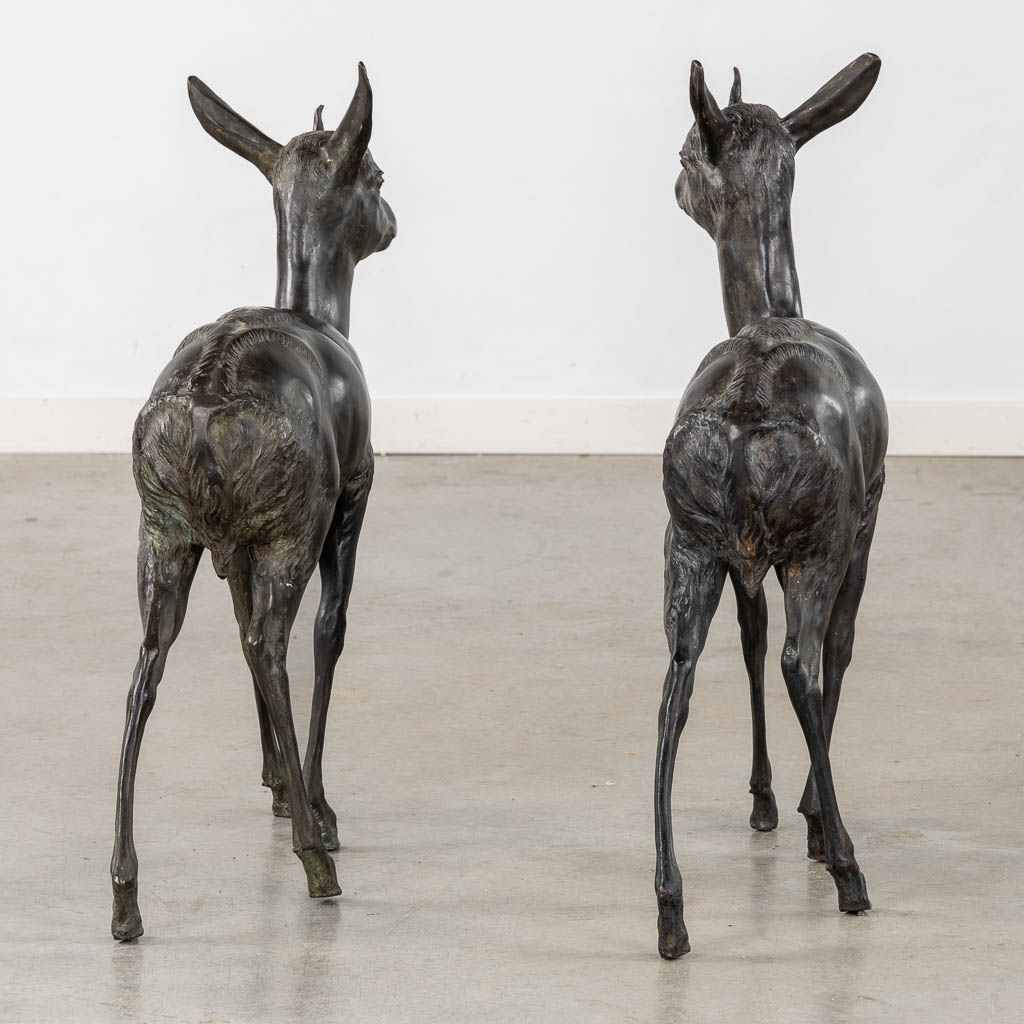 A very decorative pair of deer, patinated bronze. Circa 1970. (L:16 x W:70 x H:66 cm)