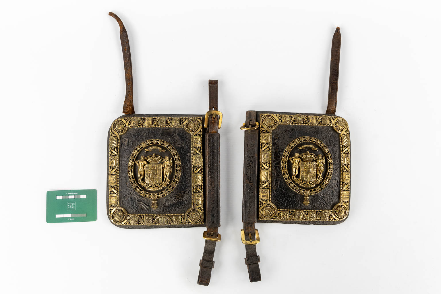 A pair of horse Blinkers, bronze on leather, Family Crest "Van de Werve de Schelde". 