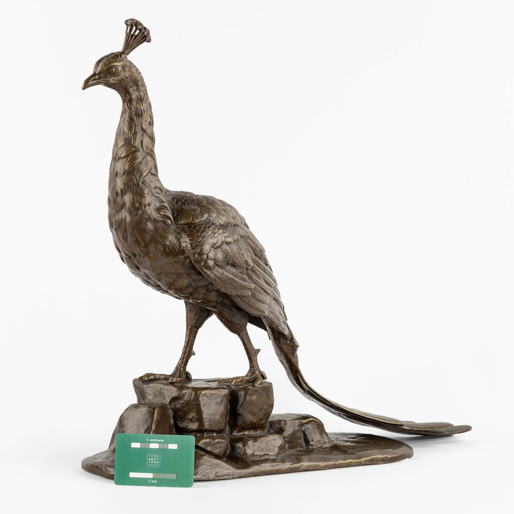 L. MAUPERTUIS (XX) A decorative figurine of a Peacock, patinated bronze. (L:17 x W:57 x H:50 cm)