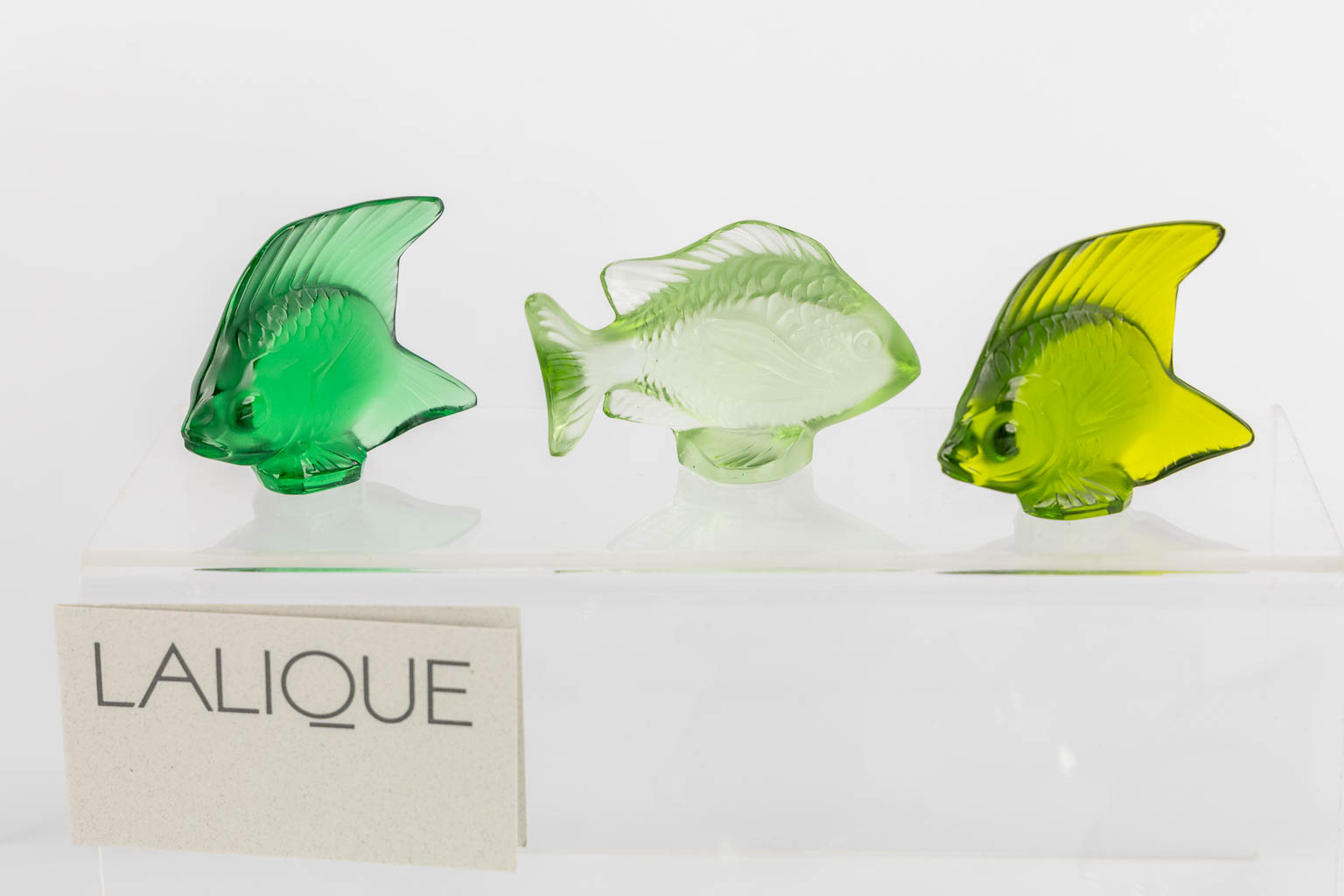 Lalique France, een grote collectie van 36 kristal vissen. (L:4 x W:7 x H:4,5 cm)