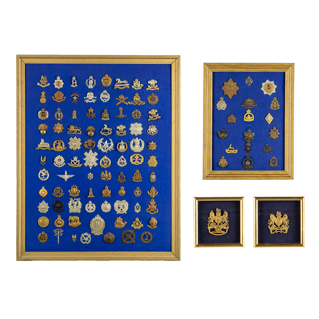 A large collection of 'Cap badge' and Medallions. (W:63 x H:79 cm)