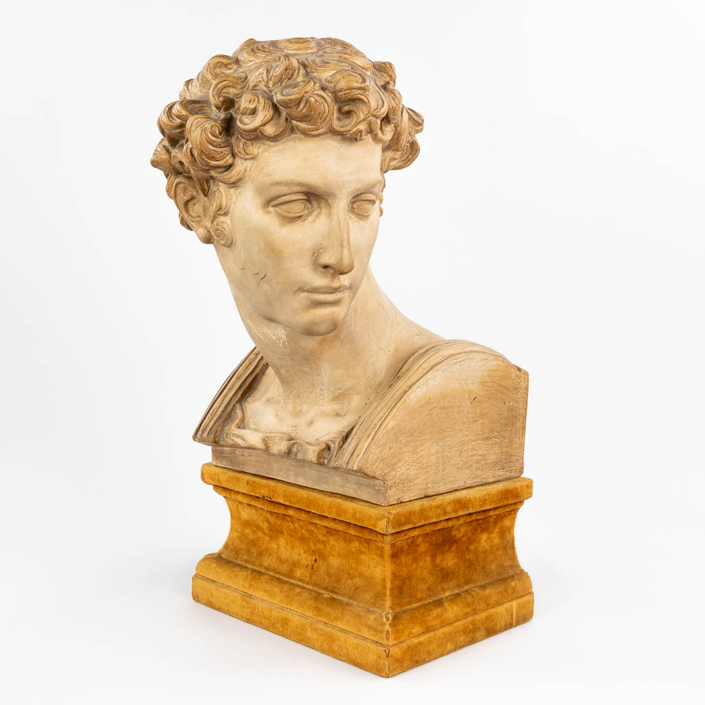 Dini et Cellai Signa, a bust of David, after Michelangelo. Made of terracotta, marked on the base. (38 x 30 x 43cm)