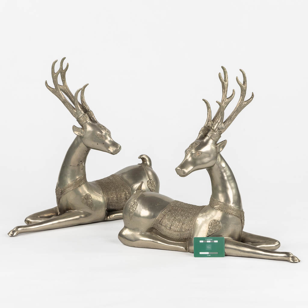 A pair of resting Temple Deer, silver-plated bronze. Circa 1970. (L:22 x W:51 x H:51 cm)